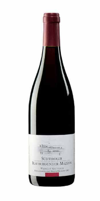 Alto Adige Pinot Noir Mazzon 2012 Gottardi - Wine il vino
