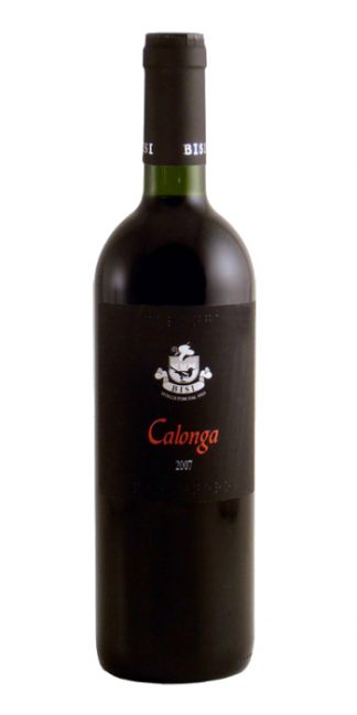 Provincia di Pavia Pinot Nero Calonga 2016 Bisi - Wine il vino