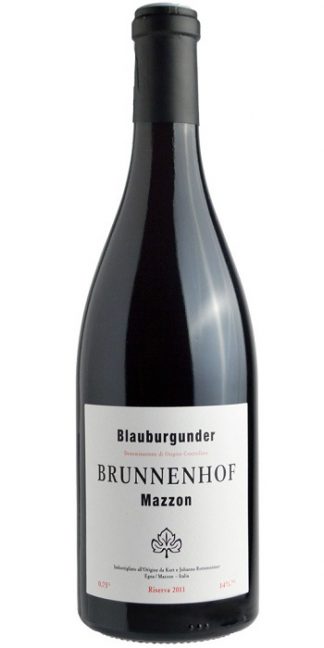 Alto Adige Pinot Nero Mazzon Riserva 2013 Brunnenhof - Wine il vino