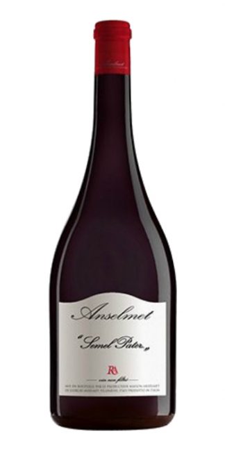 Valle d'Aosta Pinot Noir Semel Pater 2015 Anselmet - Wine il vino