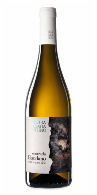 Etna Bianco Contrada Blandano 2013 Terra Costantino - Wine il vino