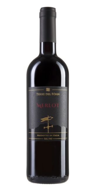 vendita vini on line merlot-terre-del-fohn - Wine il vino